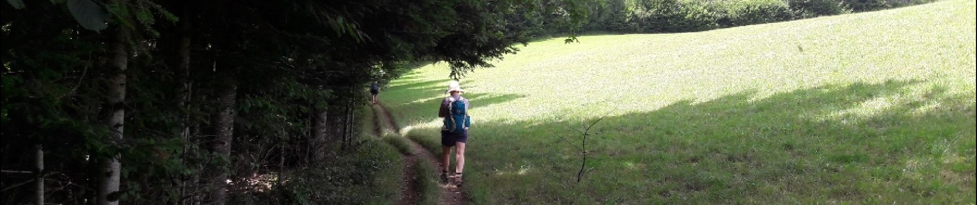 Trail Walking Villers-le-Lac - Le saut du Doubs et le Châtelard - Photo