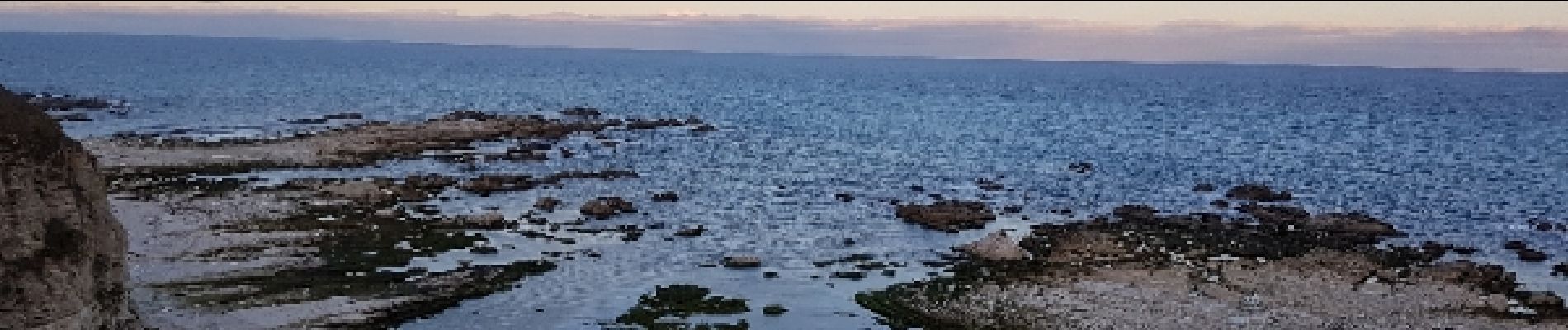 Tour Wandern Unknown - Kaikoura Otaries  - Photo