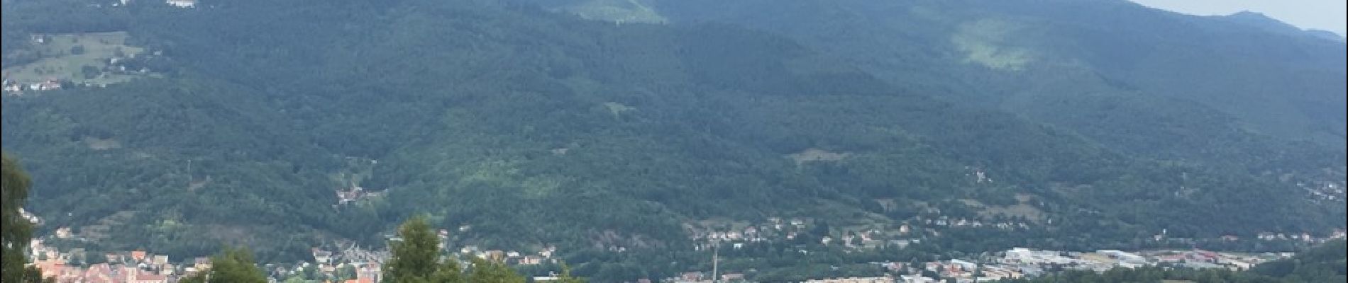 Tour Wandern Münster im Elsass - Balade du 15 août  - Photo