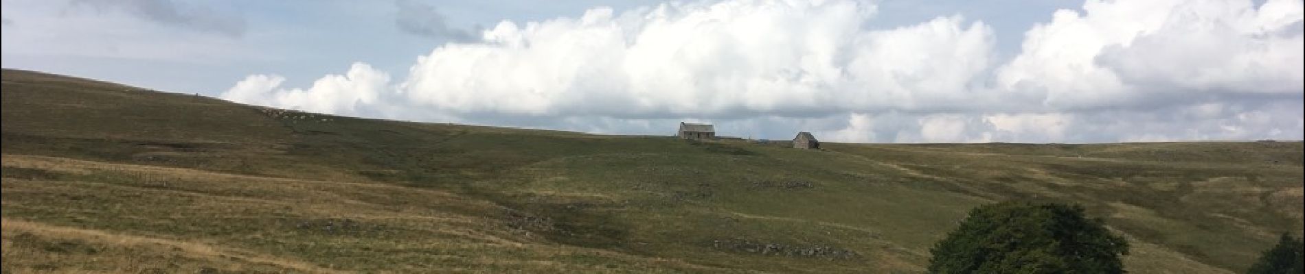 Tour Andere Aktivitäten Saint-Chély-d'Aubrac - St Chely d'Aubrac - Les Plagnes - Photo