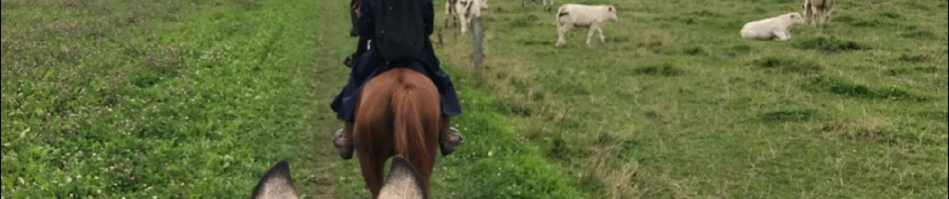 Tocht Paard Florenville - Transsemoisienne 2017 tracé 2eme jour - Photo