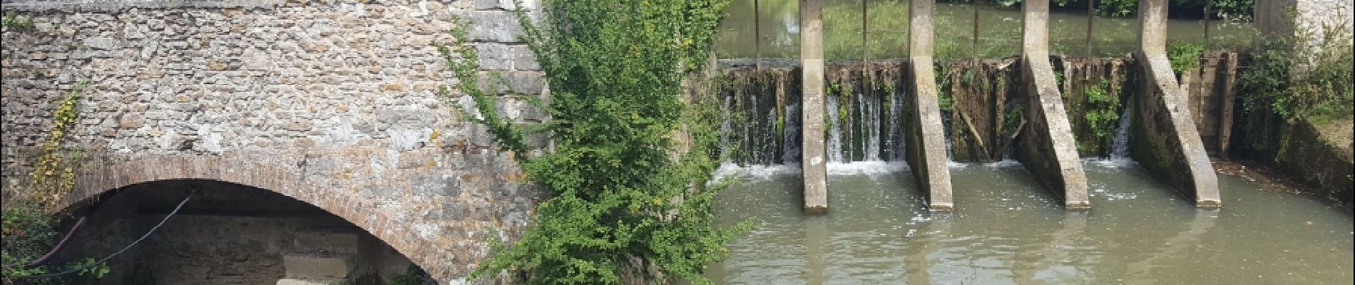 POI Coulommiers - Vue sur le Grand Morin - Photo