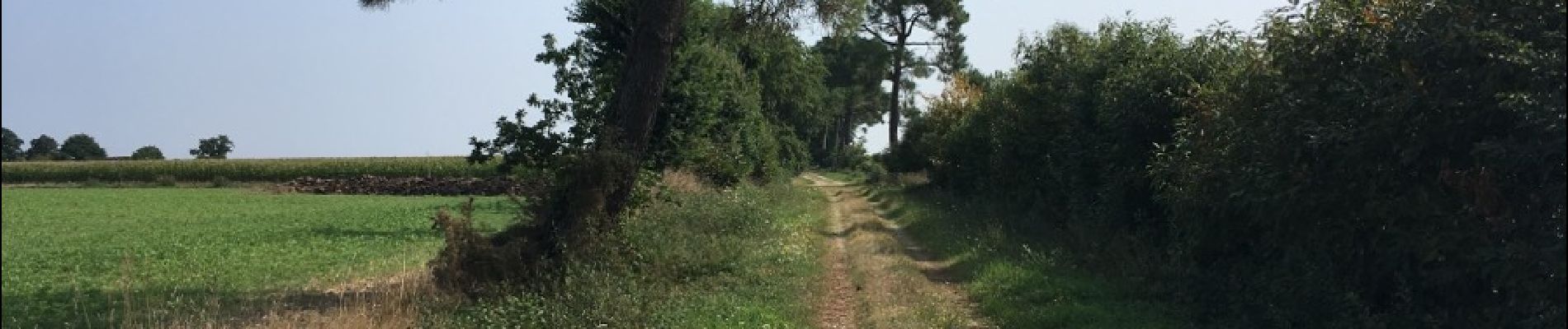 Tocht Andere activiteiten Saint-Senoux - brehac bois du Piriou - Photo