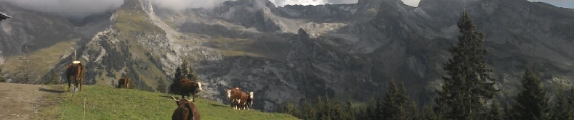 Tour Wandern La Clusaz - balade lac des confins - Photo