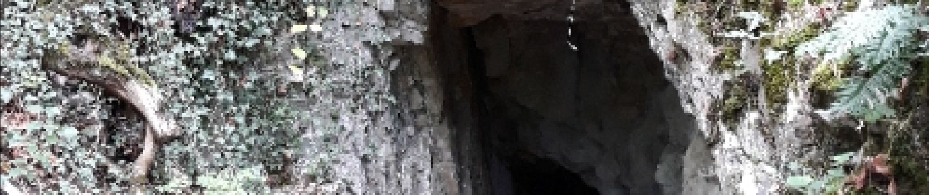 Punto de interés Dinant - grotte - Photo