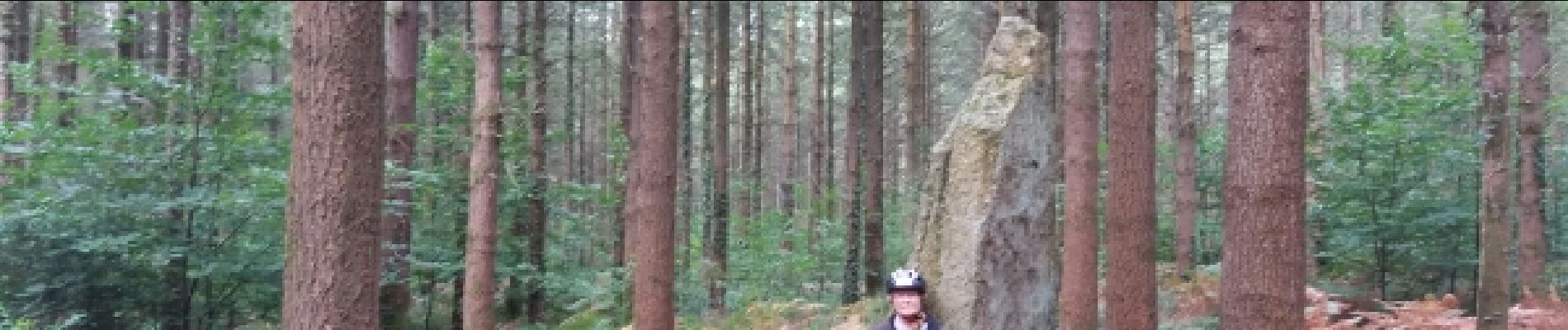 Randonnée Vélo Baud - Baud et la forêt de Camors - Photo
