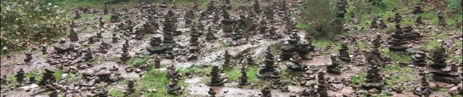 Excursión Senderismo Paimpont - 2017-10-29 tombeau de merlin fontaine de jouvence BROCELIANDE - Photo