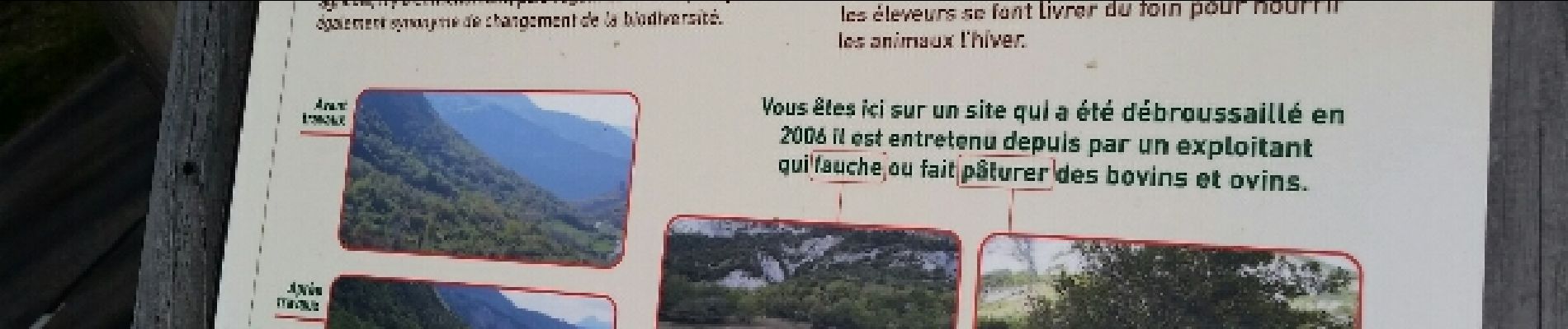 Excursión Senderismo La Tour-en-Maurienne - Le Châtel : sentier botanique des Plagnes - Photo