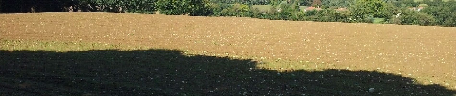 Punto de interés Chaponnay - vue sur lyon  - Photo