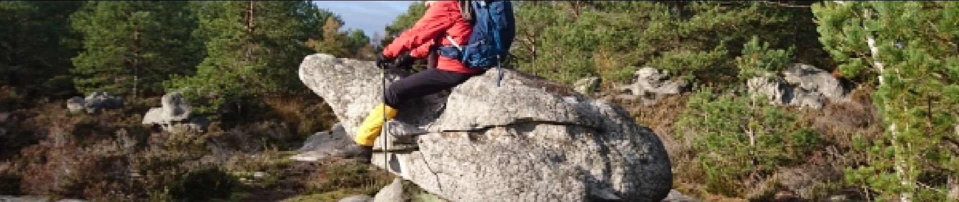 Tocht Stappen Arbonne-la-Forêt - 171115 EnCours - Photo