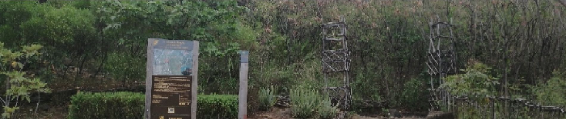 Percorso Corsa a piedi Saint-Denis - La redoute à la Montagne par les rampes - Photo