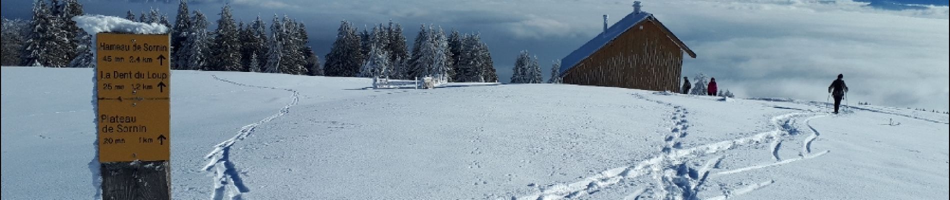 Randonnée Raquettes à neige Engins - Le Plateau de Sornin et La Dent du Loup - Photo
