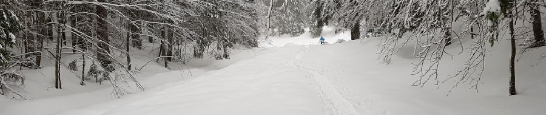 Randonnée Raquettes à neige Bois-d'Amont - Chalet Gaillard Bois d'Amont  - Photo