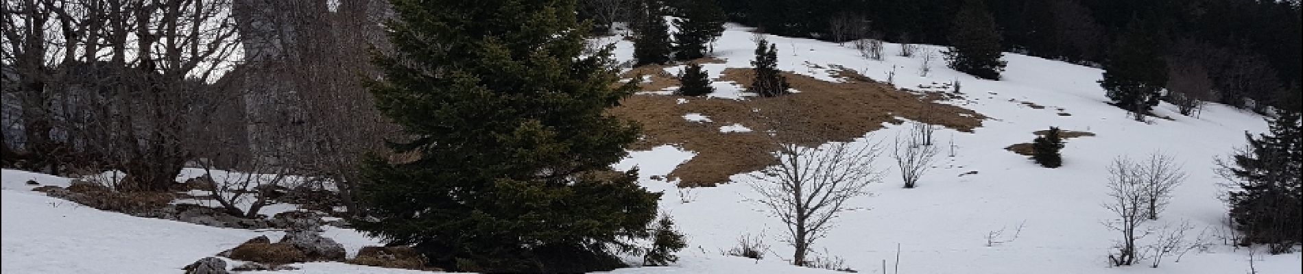 Randonnée Raquettes à neige Autrans-Méaudre en Vercors - Boucle Gève, Le Bec de l 'Orient, Le Pas de la Clé, depuis La Sure  - Photo