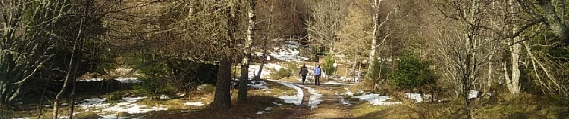 Tour Wandern Buhl - Rimbach (25-01-2018) - Photo