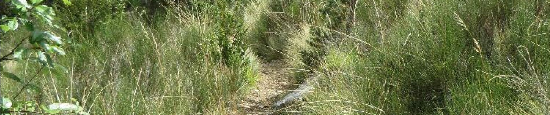 Point d'intérêt La Piarre - Descente de la Piarre - Photo