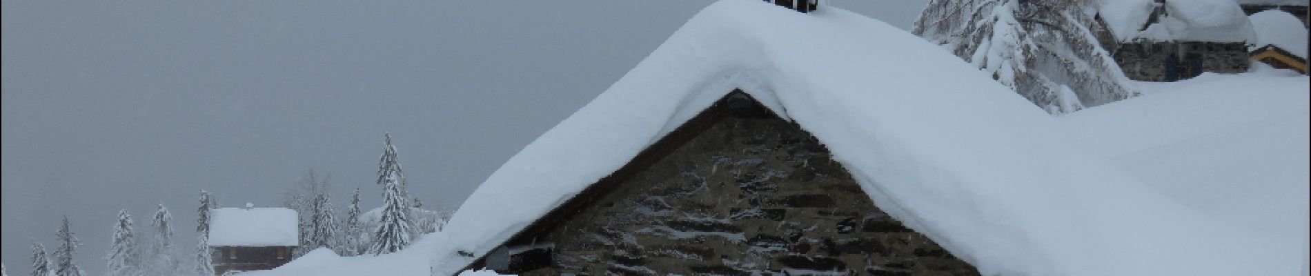 Tour Schneeschuhwandern Montvalezan - La Rosière au Chatelard - Photo
