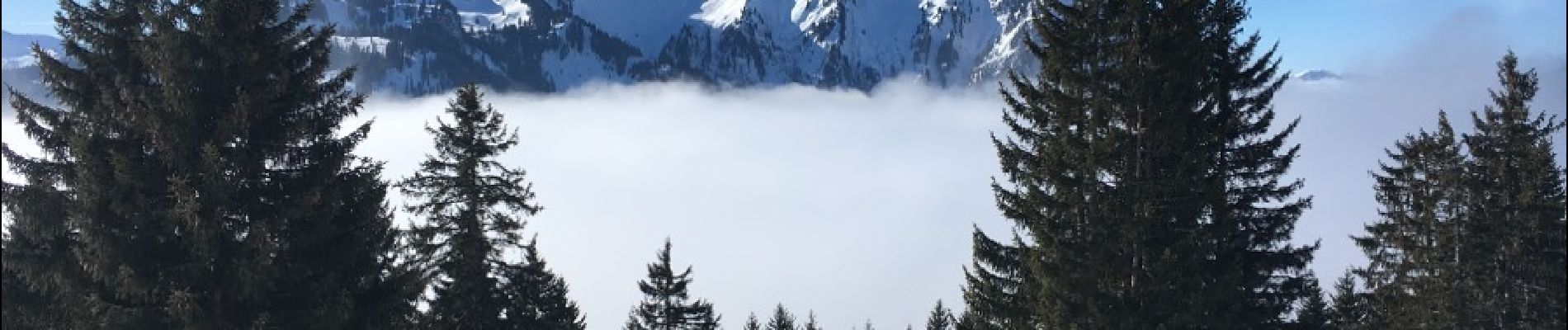 Randonnée Raquettes à neige Châtel - Petit Châtel haut - col de Saix par en haut - Théo - Petit Châtel  - Photo