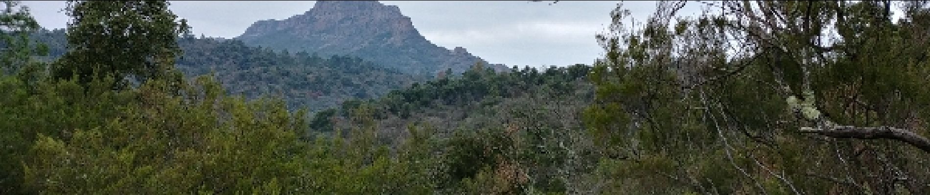 Percorso Marcia Roquebrune-sur-Argens - sentier au fil de l eau - Photo