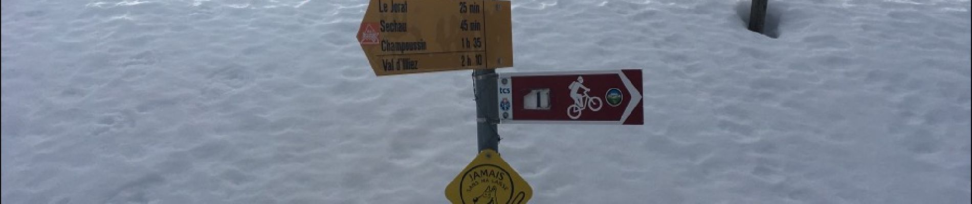 Randonnée Raquettes à neige Troistorrents - Foilleuse - Madzé - Savolaire - Champarin - Morgins - raq  - Photo