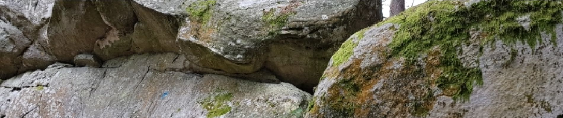 Point of interest Fontainebleau - Unnamed POI - Photo