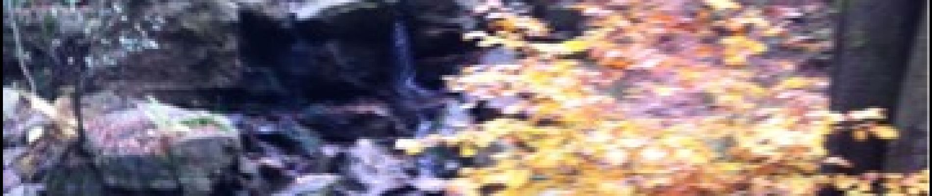 POI Jalhay - cascade des nutons  - Photo