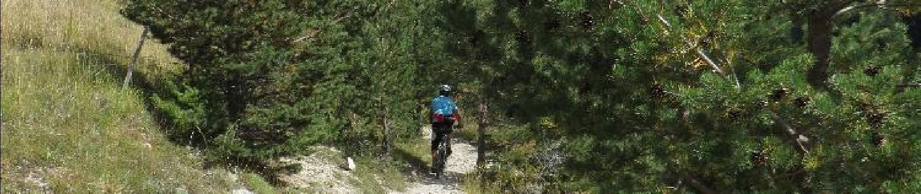 Trail Mountain bike Le Dévoluy - VTT16 - Boudelle - Photo