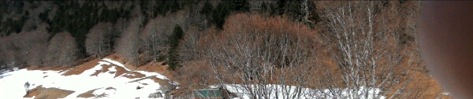 Excursión Raquetas de nieve Ferrère - 2017-02-26 fontaine d,artigue - Ferrer -barousse - Photo