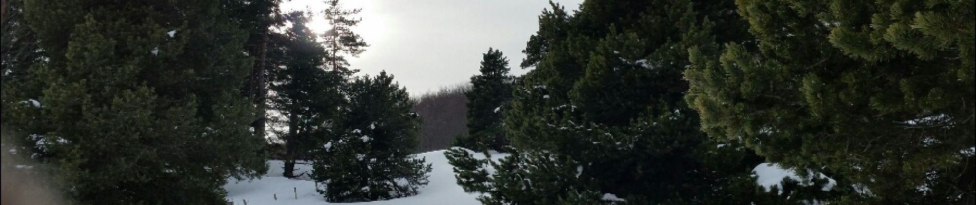 Randonnée Raquettes à neige Châtillon-en-Diois - 2018-02-13 Vallon de  Combau  - Photo