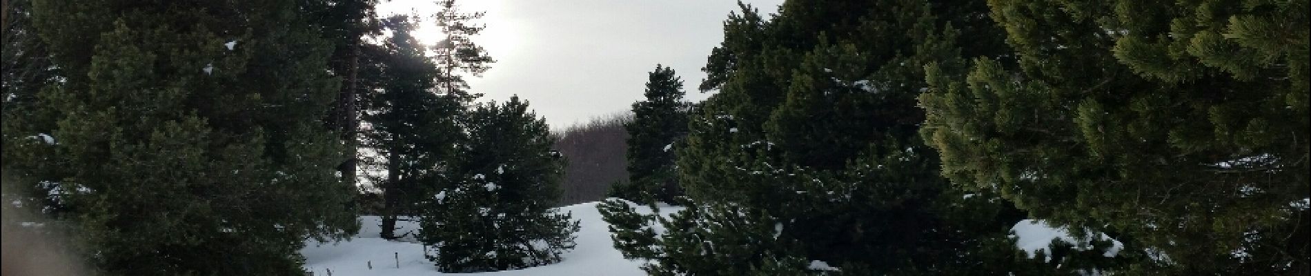 Percorso Racchette da neve Châtillon-en-Diois - 2018-02-13 Vallon de  Combau  - Photo