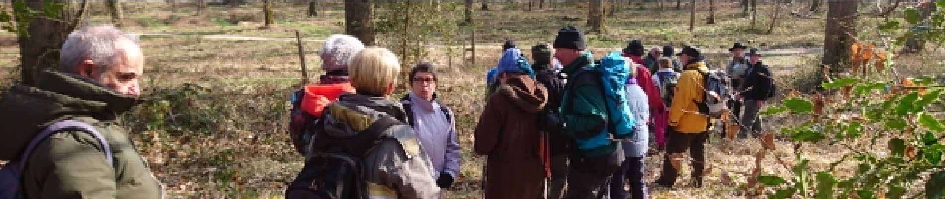 Excursión Senderismo Bourron-Marlotte - 180223 EnCours - Photo