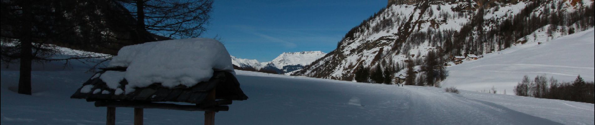 Randonnée Raquettes à neige Peisey-Nancroix - Autour de Rosuel - Photo