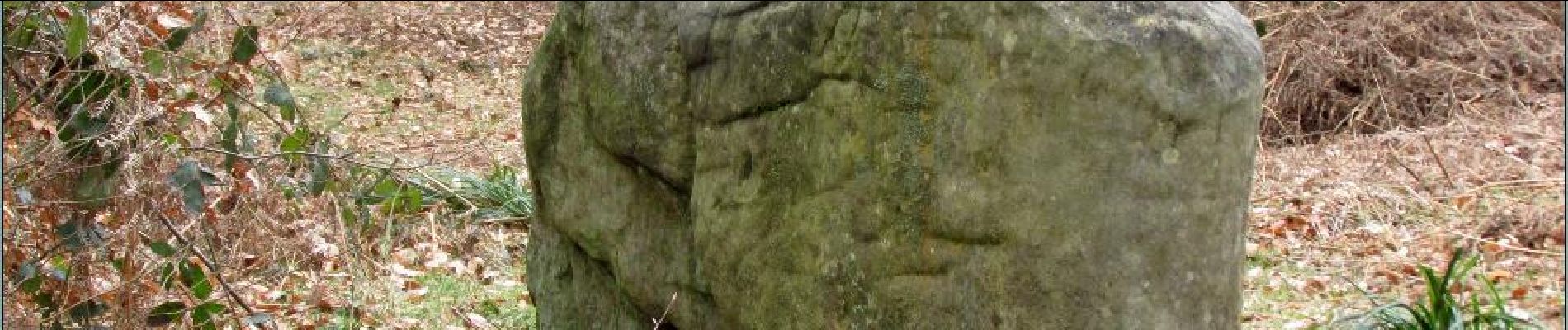 POI Villers-Saint-Frambourg-Ognon - le dolmen de Chancy - Photo