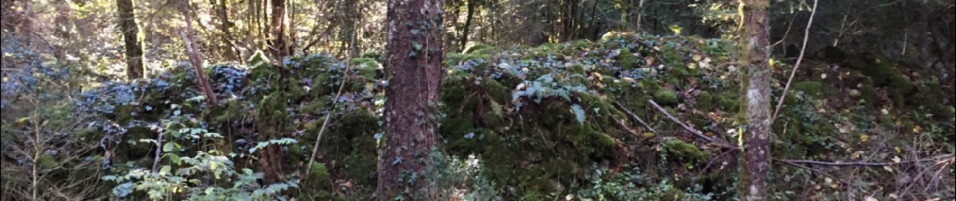 Punto de interés Fougax-et-Barrineuf - mur ou tumulus?  - Photo