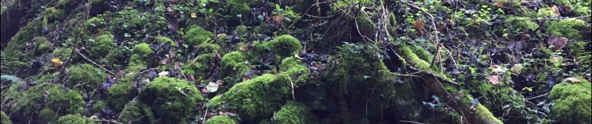 POI Fougax-et-Barrineuf - tumulusbdans une doline - Photo