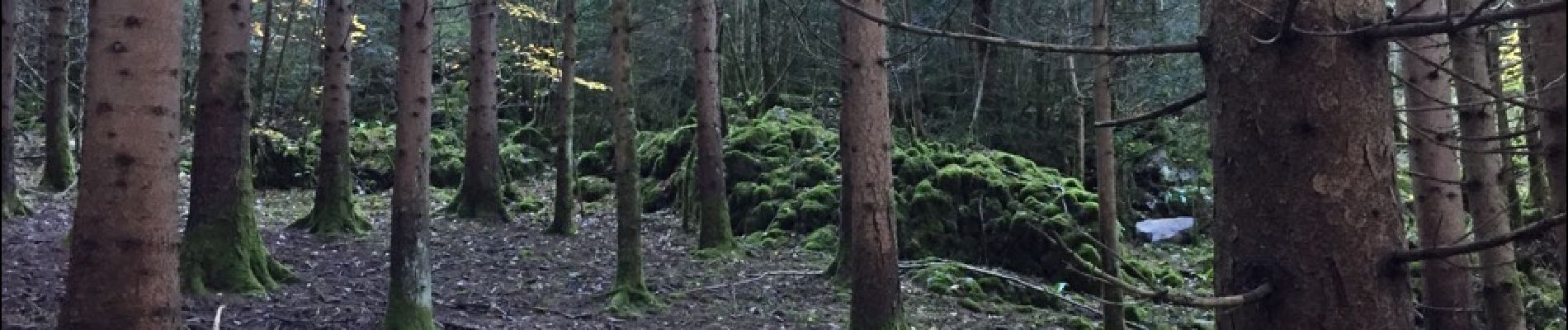 Punto di interesse Fougax-et-Barrineuf - grands bâtis à flanc de doline  - Photo