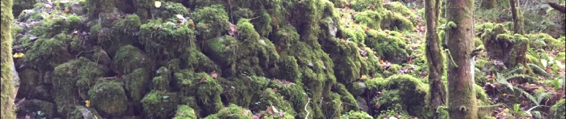 POI Fougax-et-Barrineuf - fond de doline bâtie  - Photo