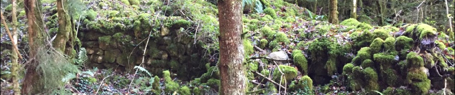 Punto di interesse Fougax-et-Barrineuf - bâtis dans le bois - Photo