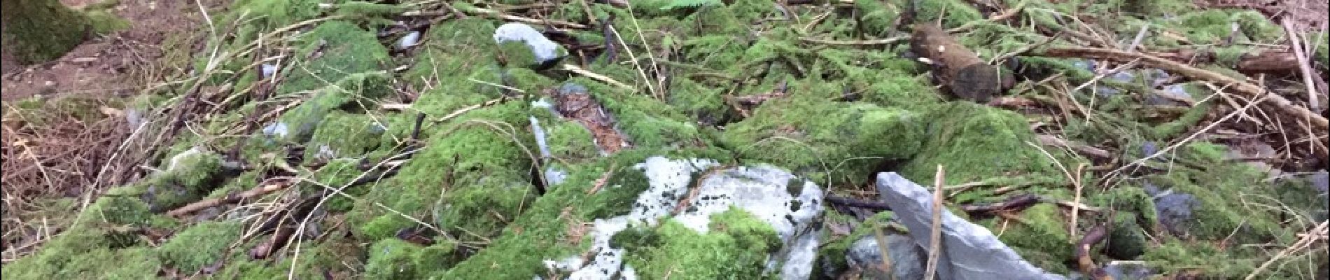 POI Fougax-et-Barrineuf - autre tumulus dans la pente  - Photo