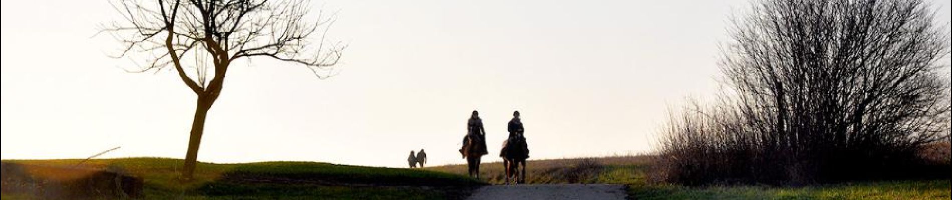 Punto di interesse Nordheim - Les cavaliers à contre jour - Photo