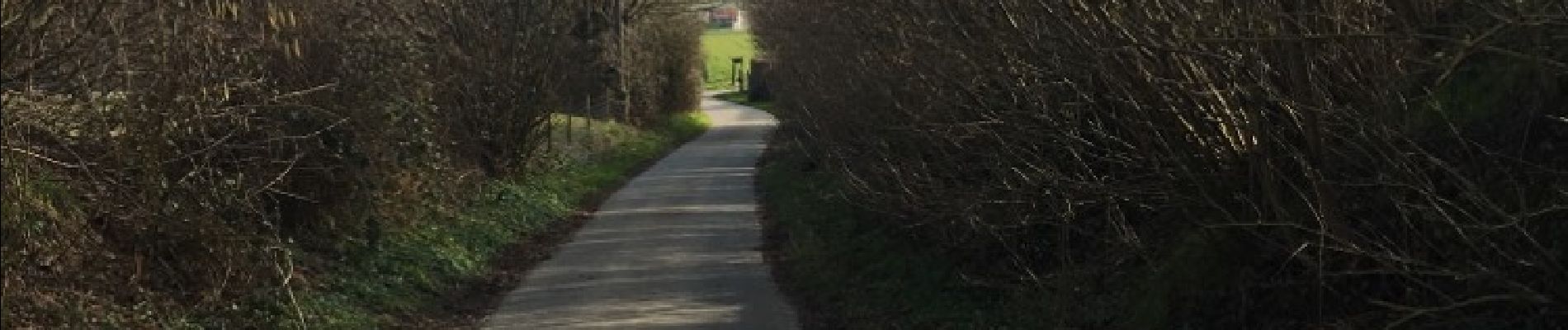Trail Walking Heuvelland - Rando RCM du 26 mars 2018 - Photo