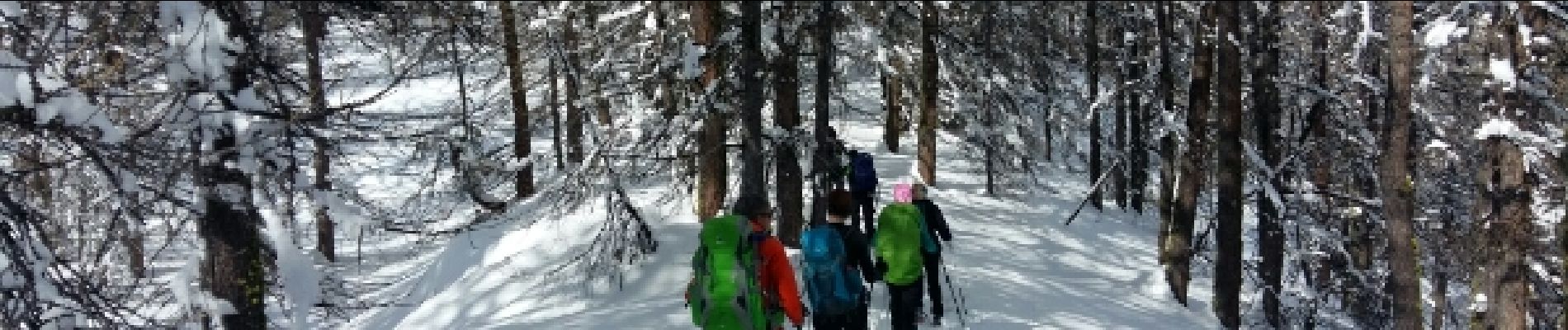 Tour Schneeschuhwandern Arvieux - Queyras étape 2 - Photo