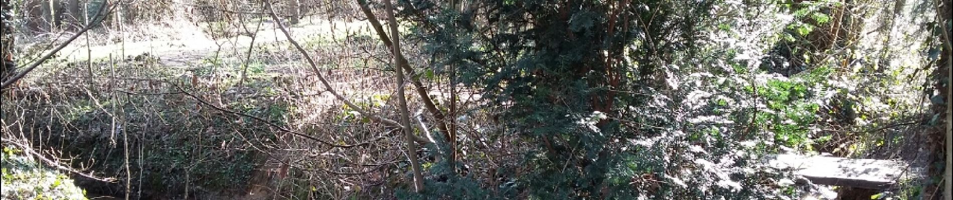 Trail Walking Wavre - GRP 127 Wavre-Ohain 20 03 2018 - Photo