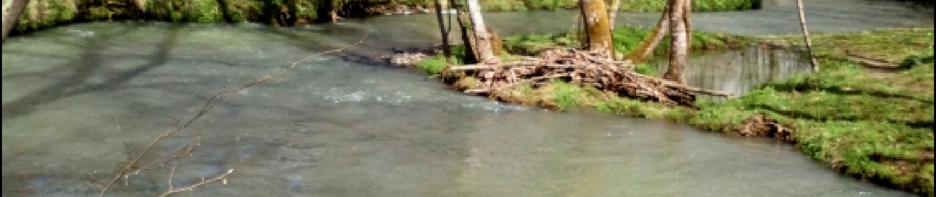 Tocht Andere activiteiten Bordères-sur-l'Échez - Esgoute-Plouyes - Photo