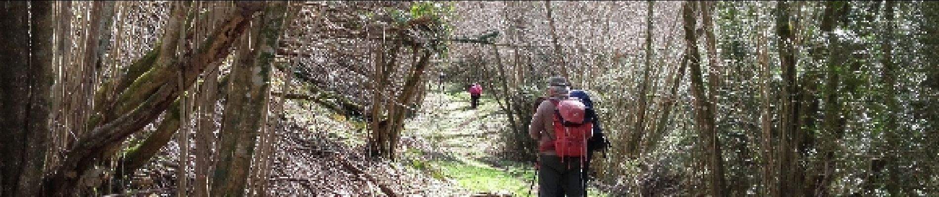 Tocht Stappen Ourdis-Cotdoussan - OURDIS Cotdoussan le pic de la clique-fait  933294 (fait le 30/03/2018)