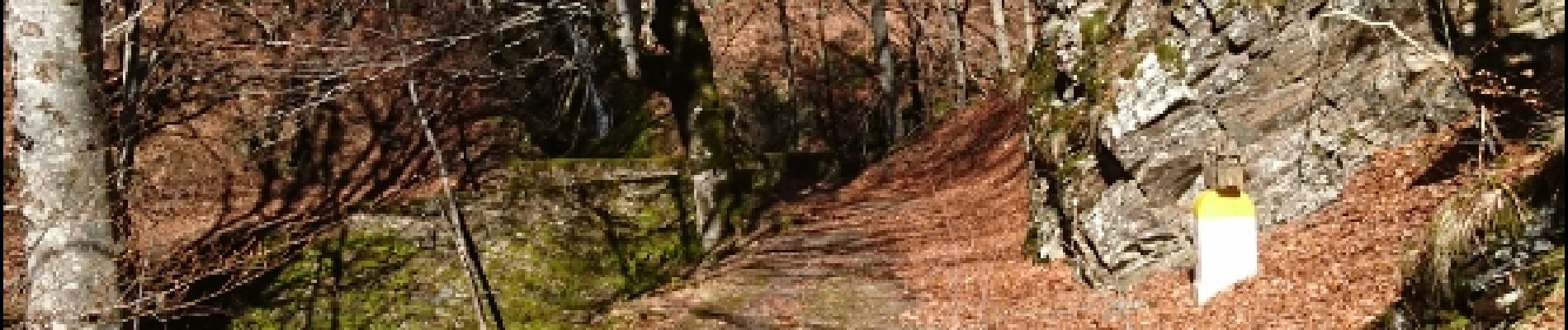 Trail Walking Meyrueis - Cabrillac  - Photo