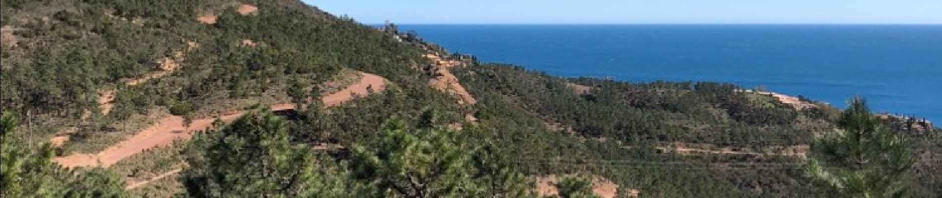 Tour Wandern Théoule-sur-Mer - l'esterel - Photo