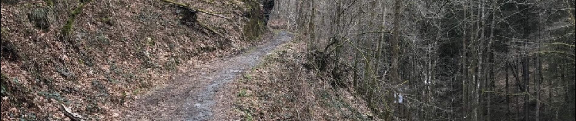 Trail Walking Vresse-sur-Semois - nafraiture 23 km - Photo