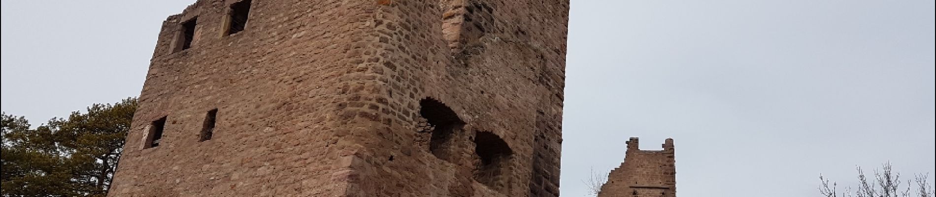 Percorso Marcia Wintzenheim - Autour des châteaux de Pflixbourg, Hohlandsbourg et Eguisheim - Photo