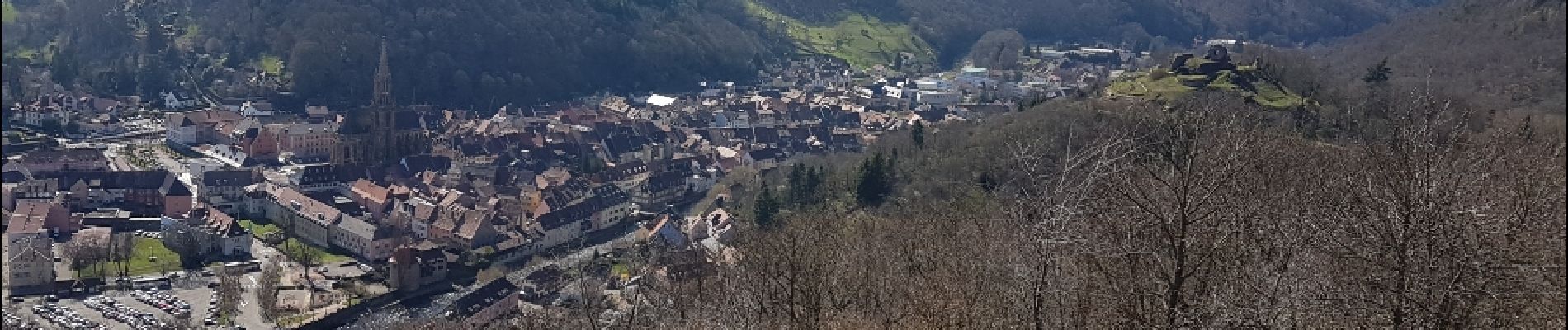 Tour Wandern Thann - Sur les hauteurs de Thann - Photo